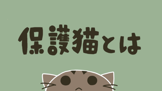 保護猫とは