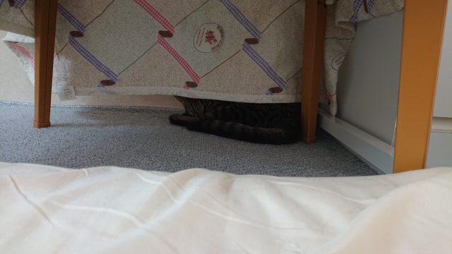 シャビー