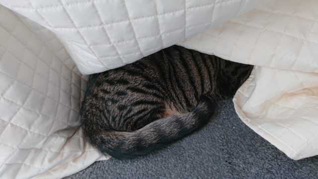 シャビー