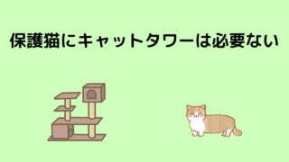 キャットタワー
