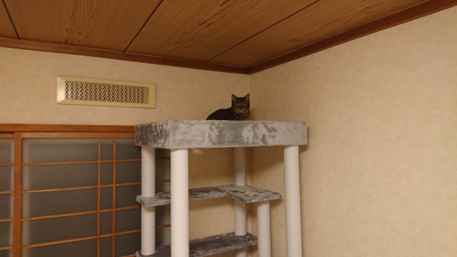 キャットタワー